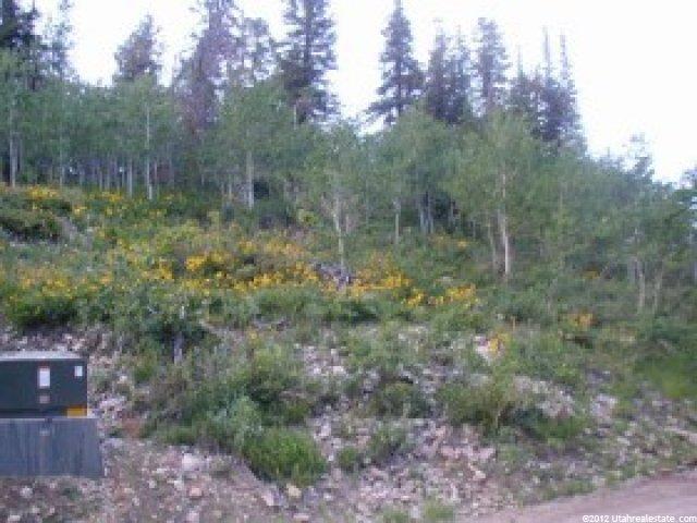 100 Alexander Canyon Rd #100, Wanship, UT 84017 — photo 6