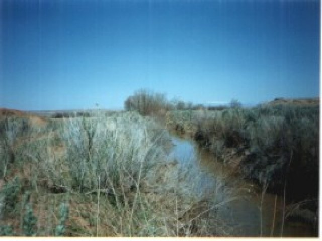 14500 E 4000 S, Randlett, UT 84063 — photo 4