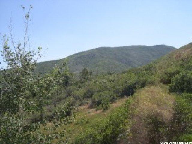 1053 Oberland Dr, Midway, UT 84049 — photo 8