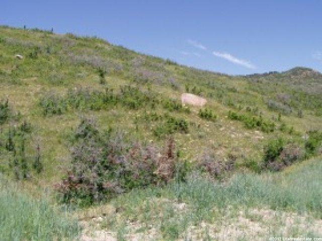 5971 N Maple Ridge Trl #31, Oakley, UT 84055 — photo 2