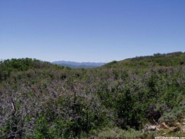 5971 N Maple Ridge Trl #31, Oakley, UT 84055 — photo 4