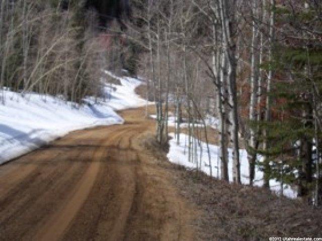 4 Scofield Mtn #4, Scofield, UT 84526 — photo 5