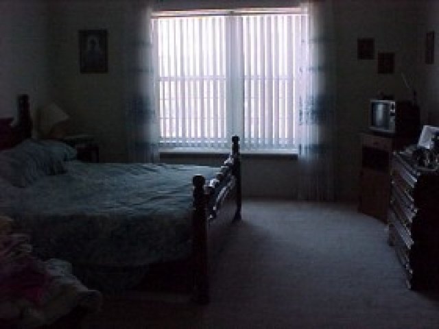 768 N Maple St, Huntsville, UT 84317 — photo 7