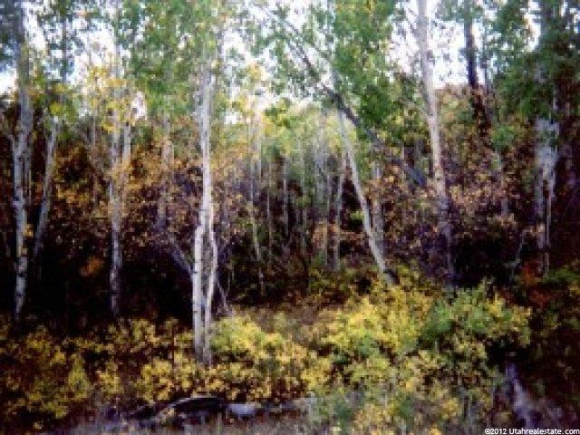 2 Resort Dr, Tabiona, UT 84072 — photo 2