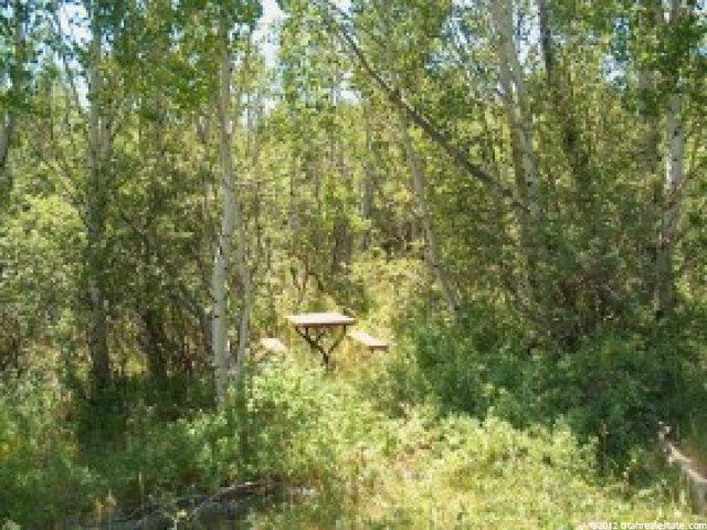 2 Resort Dr, Tabiona, UT 84072 — photo 4