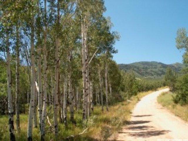 2 Resort Dr ##2, Tabiona, UT 84072 — photo 6