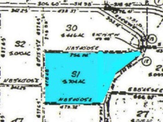 31 Blackhawk Ests #31, Fairview, UT 84629 — photo 3