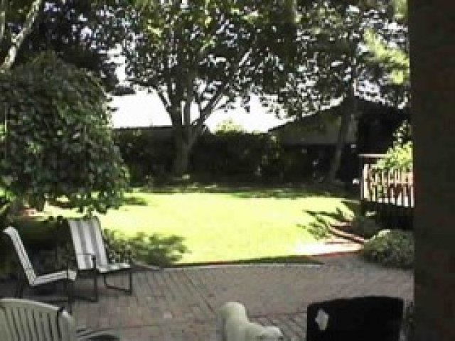3080 N 175 W, North Ogden, UT 84414 — photo 7