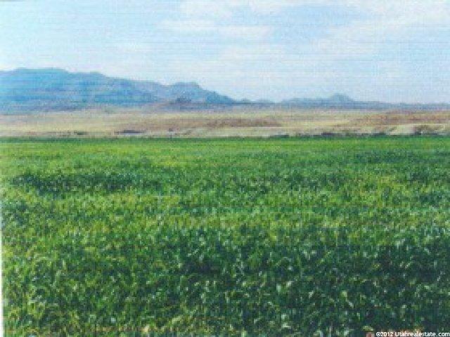 1 Riverbed Rd, Nephi, UT 84648 — photo 7