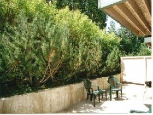 1375 Woodside Ave #4, Park City, UT 84060 — photo 7