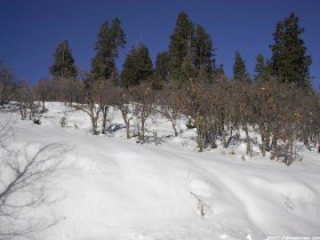 10 Pine Meadows Dr #C-10, Wanship, UT 84017 — photo 2