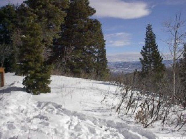 10 Pine Meadows Dr #C-10, Wanship, UT 84017 — photo 3