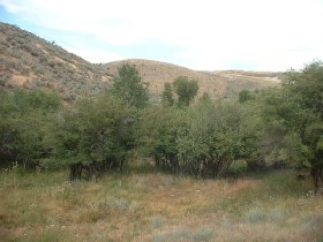 52 Garff, Peoa, UT 84061 — photo 7