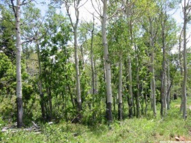 143 Pine Meadows Dr #1435, Park City, UT 84060 — photo 3