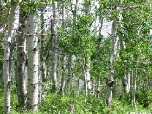 143 Pine Meadows Dr #1435, Park City, UT 84060 — photo 5
