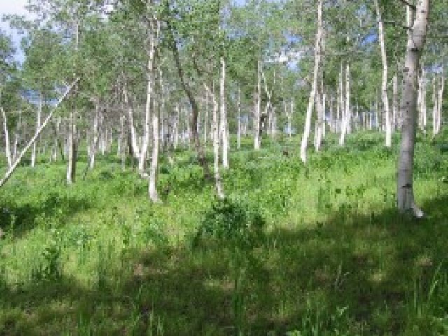 143 Pine Meadows Dr #1435, Park City, UT 84060 — photo 6