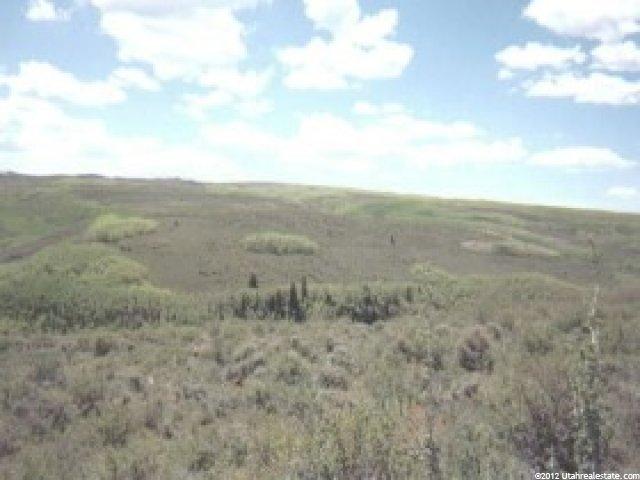 1000 E Deepcreek Cyn, Heber City, UT 84032 — photo 4