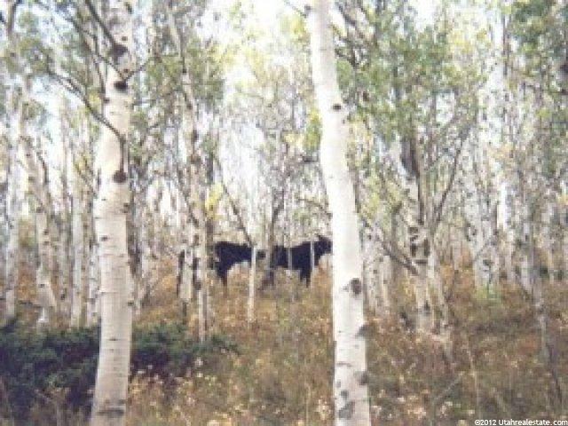 1000 E Deepcreek Cyn, Heber City, UT 84032 — photo 2