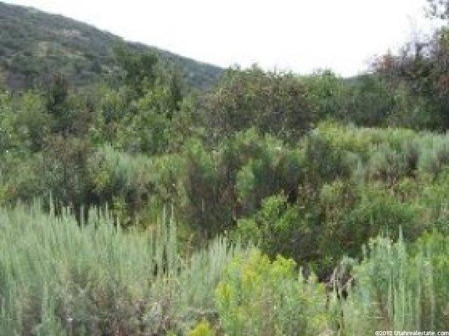75 Kamas East Rd #75, Kamas, UT 84036 — photo 3