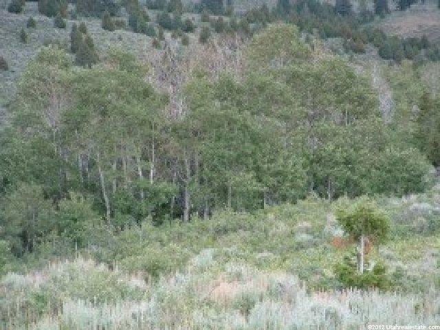 2 Lot Pebble Crk #2, Bancroft, ID 83217 — photo 6