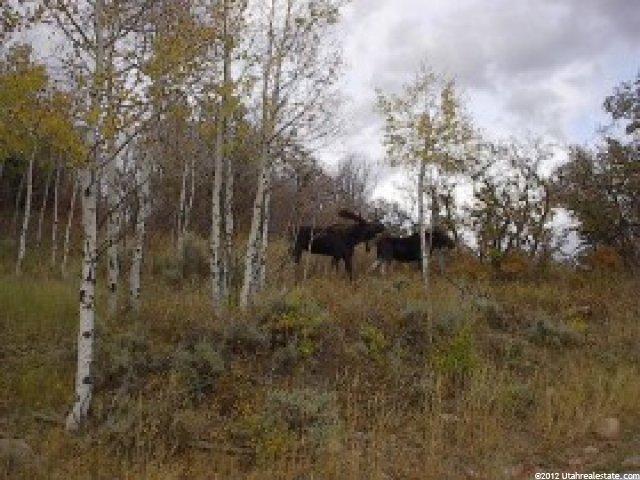 91 Arapahoe Dr, Wanship, UT 84017 — photo 2