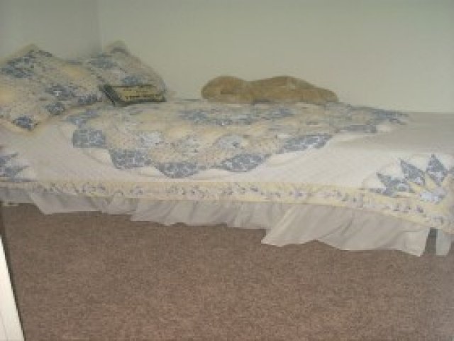 332 Inauguration Rd, Draper, UT 84020 — photo 7