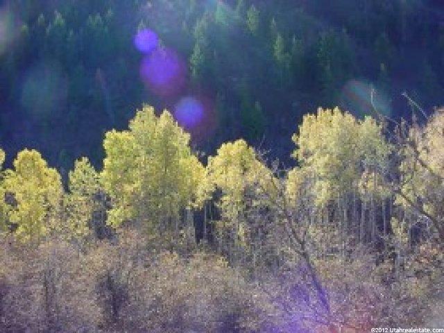 23000 N 14000 E #6, Fairview, UT 84629 — photo 3