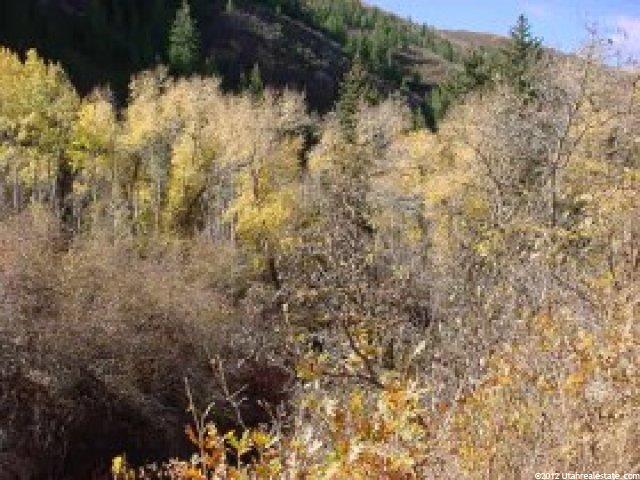 23000 N 14000 E #6, Fairview, UT 84629 — photo 4