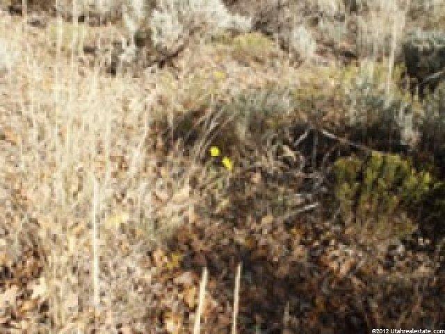 325 W Interlaken Dr #128, Midway, UT 84049 — photo 5