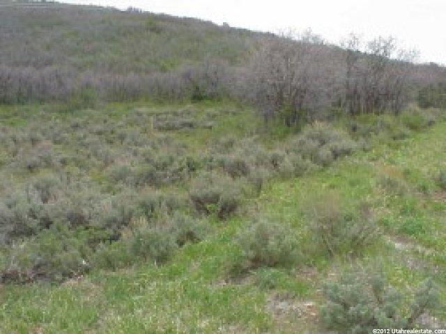 3750 Fox Tail Trl #29, Park City, UT 84060 — photo 3