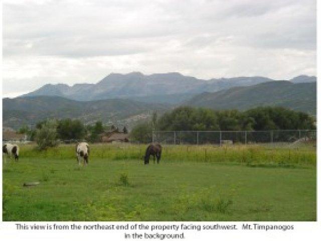 260 E Mitchie Ln, Midway, UT 84049 — photo 3