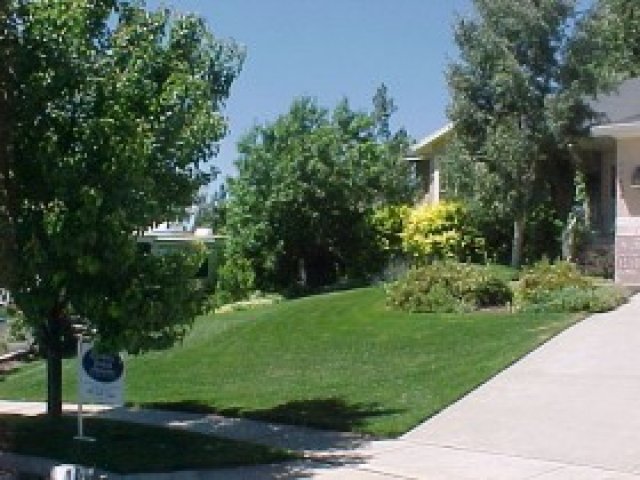 11438 Gracey Ln, Sandy, UT 84092 — photo 3