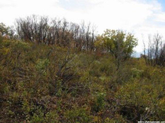 145 Forest Mdws #Ss14, Wanship, UT 84017 — photo 2