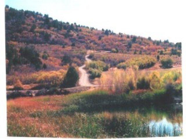 11550 N 1005 E #9, Spring City, UT 84662 — photo 6
