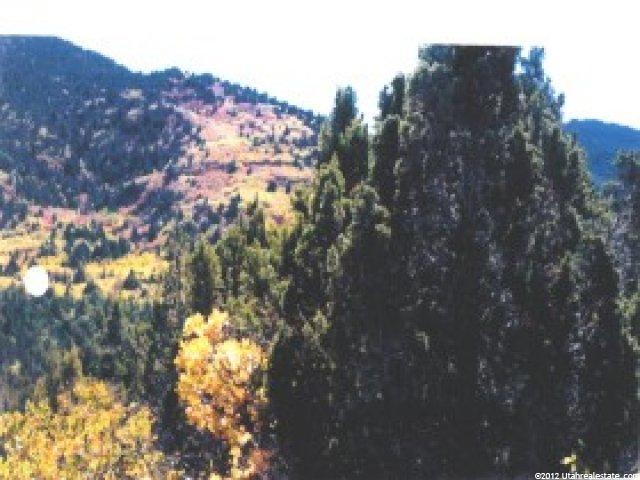11550 N 1005 E #9, Spring City, UT 84662 — photo 8