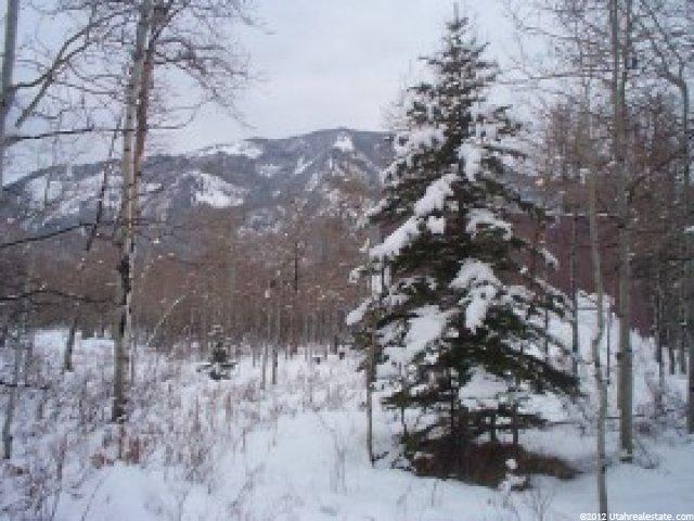 4 E Canyon Rd, Oakley, UT 84055 — photo 6