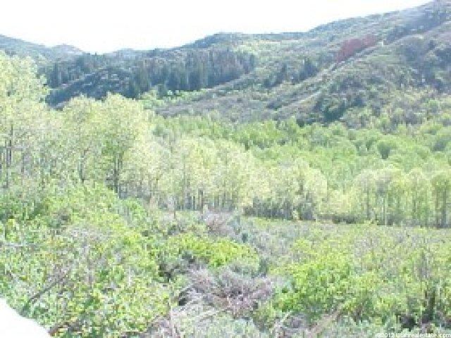 2333 S Henefer Rd, Henefer, UT 84033 — photo 5