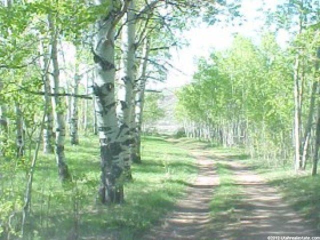 2333 S Henefer Rd, Henefer, UT 84033 — photo 6