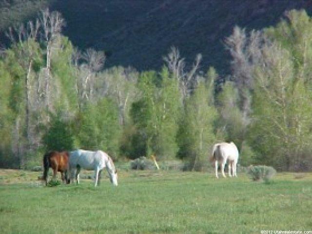 2500 S Echo Frontage Rd, Henefer, UT 84033 — photo 4