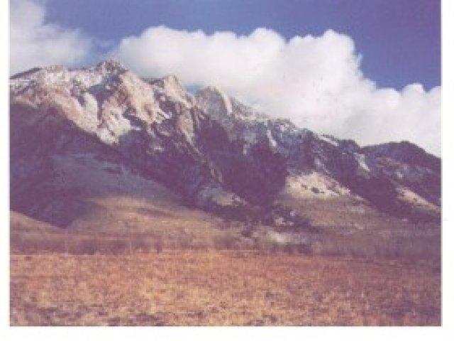 350 N Main St, Willard, UT 84340 — photo 3