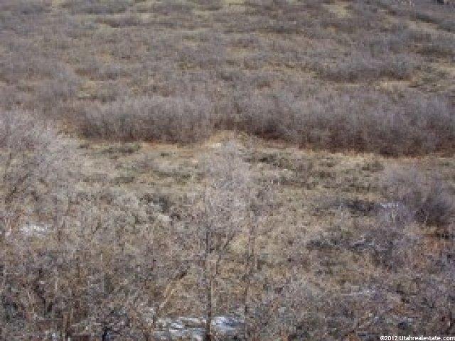 330 Jungfrau Hill Rd, Midway, UT 84049 — photo 5