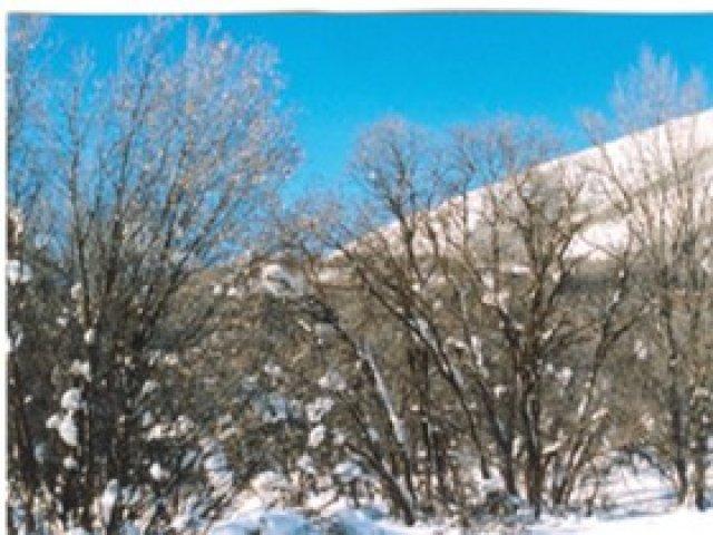 366 Lime Cyn #366, Midway, UT 84049 — photo 2