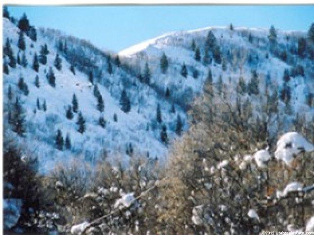 366 Lime Cyn #366, Midway, UT 84049 — photo 3