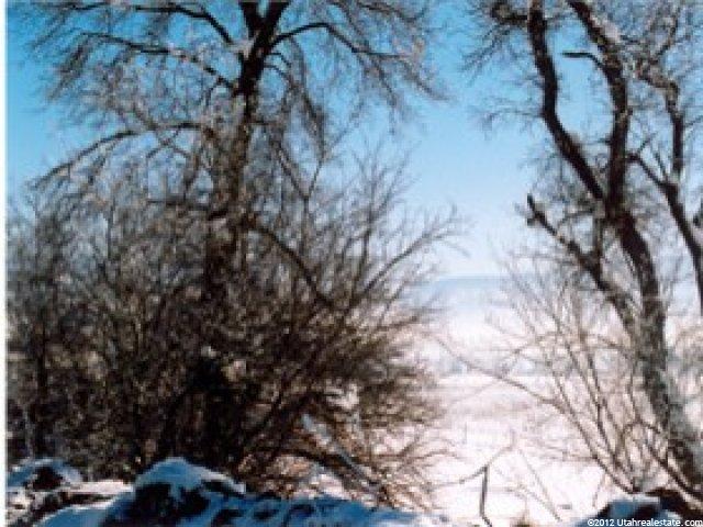 1200 N Interlaken, Midway, UT 84049 — photo 4