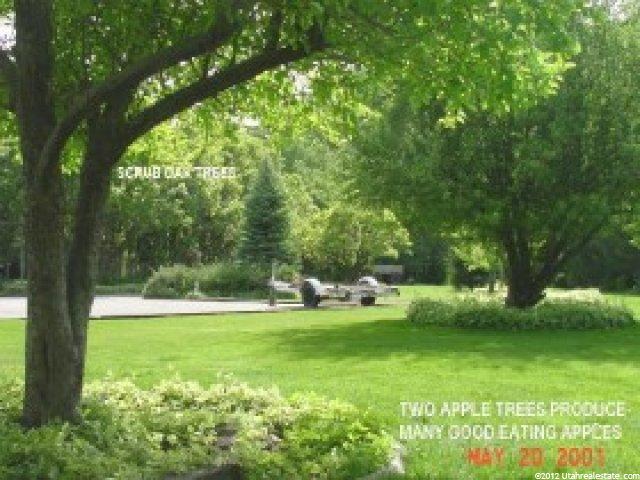 10462 Dimple Dell Rd, Sandy, UT 84092 — photo 7
