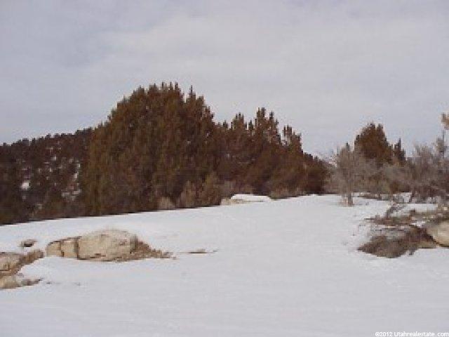10000 Hilltop Rd, Fairview, UT 84629 — photo 2