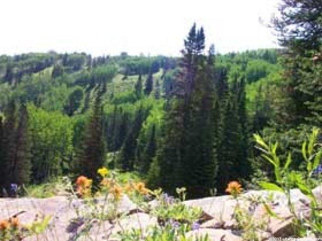 149 White Pine Cyn #142, Park City, UT 84098 — photo 2