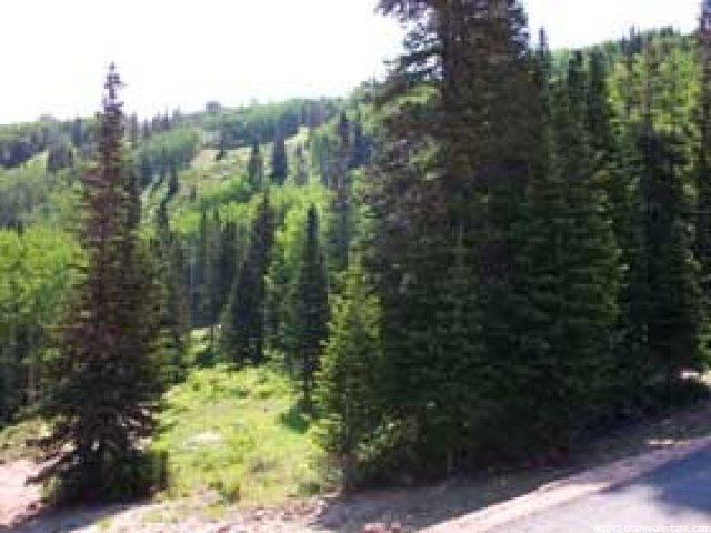 149 White Pine Cyn #142, Park City, UT 84098 — photo 3