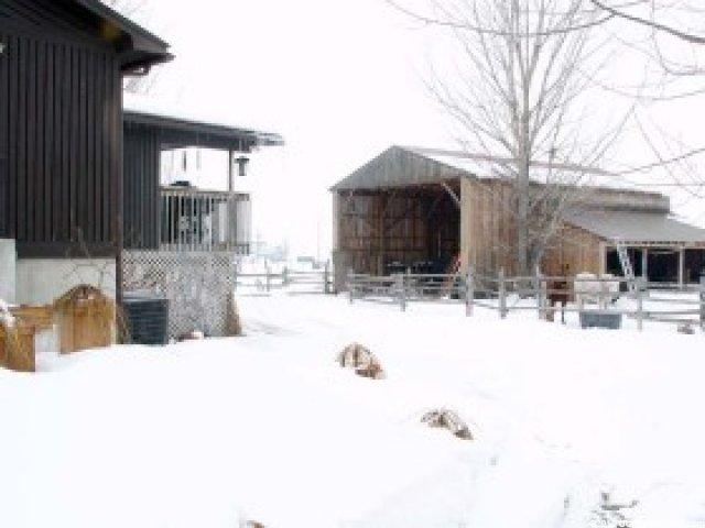 6325 N 2400 W, Amalga, UT 84335 — photo 3