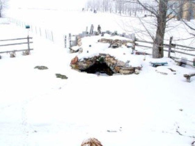 6325 N 2400 W, Amalga, UT 84335 — photo 4